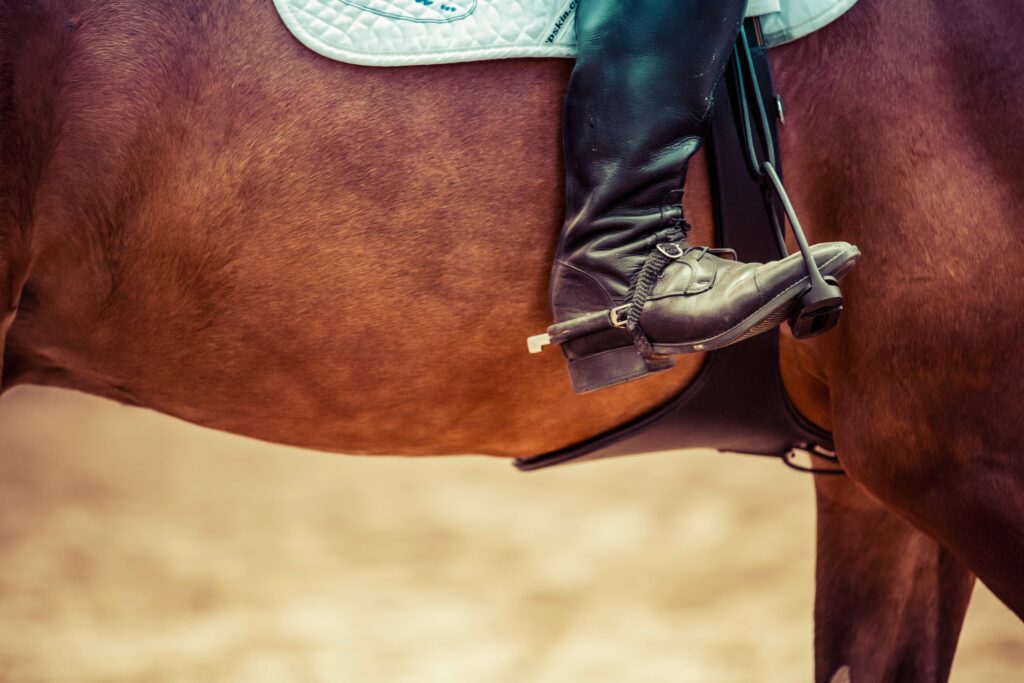 equitation femme