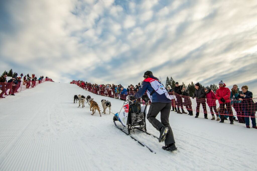 La Grande Odyssée VVL 2023, une aventure qui vous mord !