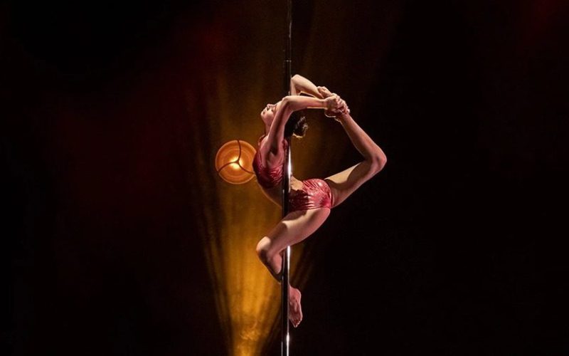 Championnat de France pole dance