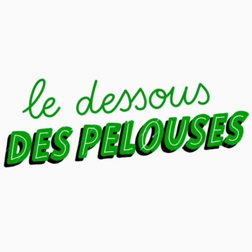 LDDP podcast le dessous des pelouses