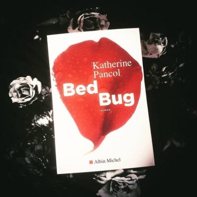 bed-bug bed bug